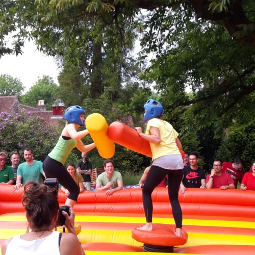 Inflatable Gladiator Duel Rental
