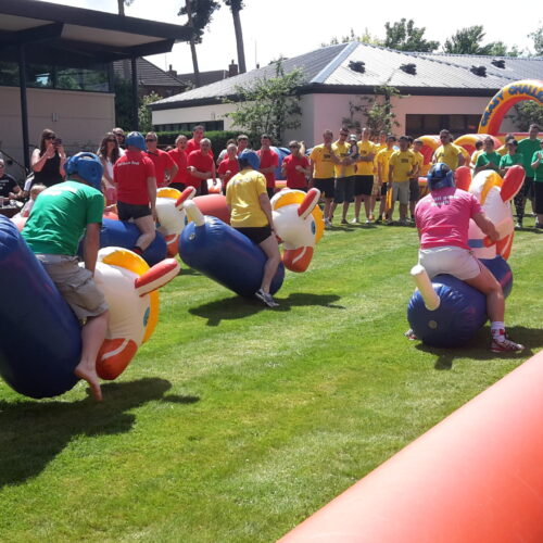 IInflatable Pony Hop Racing Rental