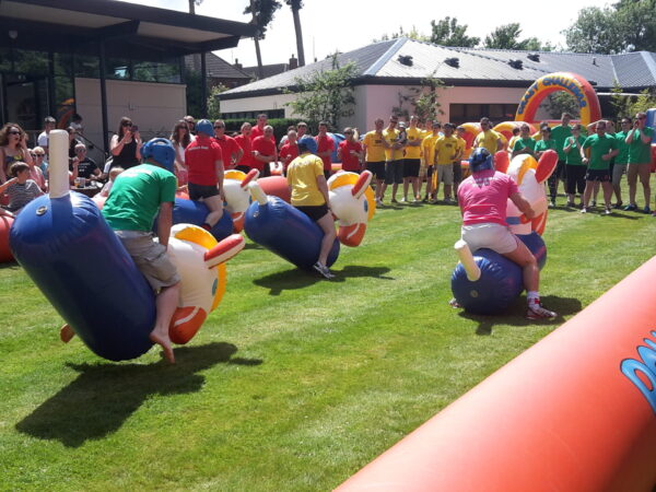 IInflatable Pony Hop Racing Rental
