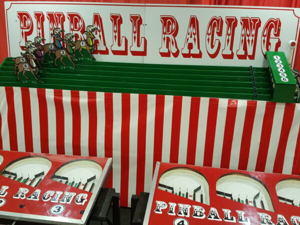 6 Player Reindeer Racing Game Rental
